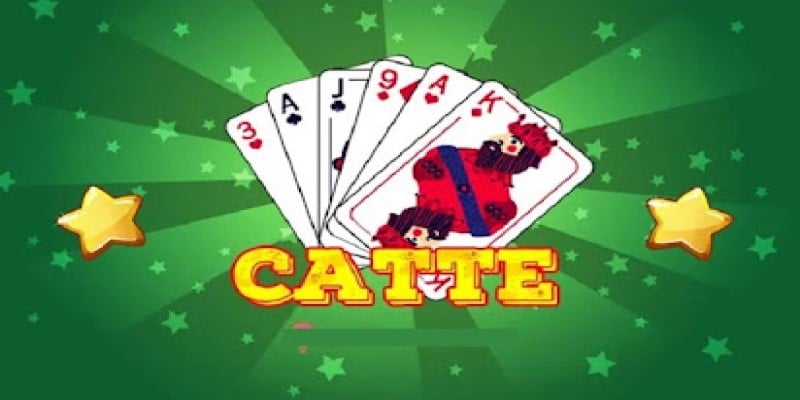 Bài catte và những thông tin giới thiệu